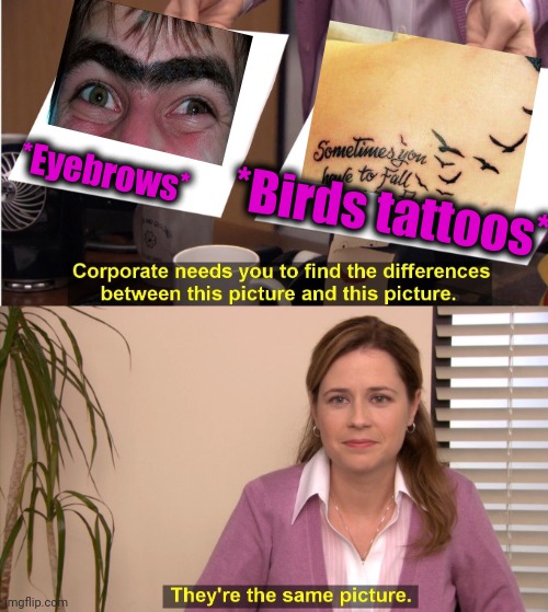 -Same as name. | *Eyebrows*; *Birds tattoos* | image tagged in memes,they're the same picture,eyebrows,twitter birds says,tattoos,corporations | made w/ Imgflip meme maker