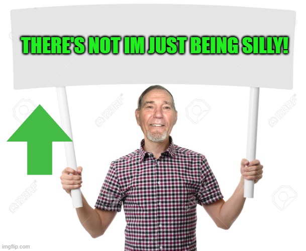 sign | THERE'S NOT IM JUST BEING SILLY! | image tagged in sign | made w/ Imgflip meme maker