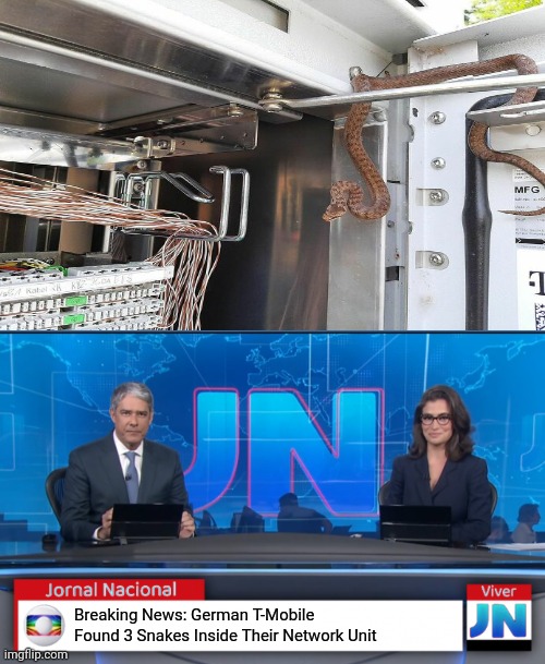 Yep. There's a snake! | Breaking News: German T-Mobile Found 3 Snakes Inside Their Network Unit | image tagged in jornal nacional brazilian news network,you had one job,funny,breaking news,memes,t mobile | made w/ Imgflip meme maker