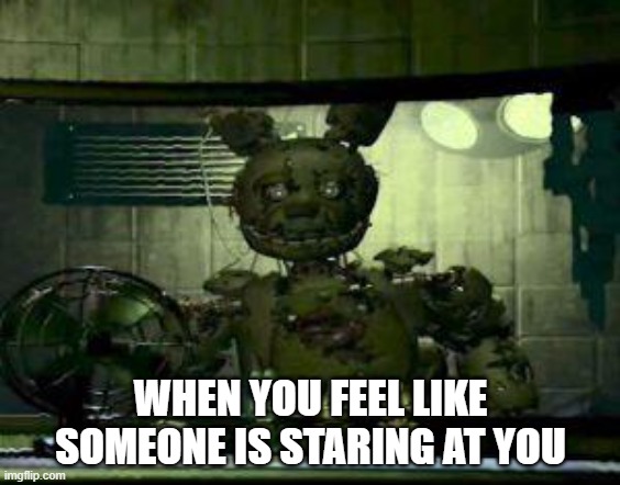 This is also scary | WHEN YOU FEEL LIKE SOMEONE IS STARING AT YOU | image tagged in fnaf springtrap in window | made w/ Imgflip meme maker