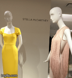 Stella McCartneY | image tagged in fashion,stella mccartney,bergdorf goodman,brian einersen | made w/ Imgflip images-to-gif maker