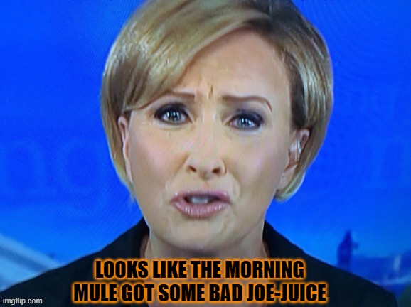 LOOKS LIKE THE MORNING MULE GOT SOME BAD JOE-JUICE | made w/ Imgflip meme maker