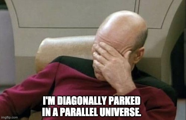 Parallel Universe | I'M DIAGONALLY PARKED IN A PARALLEL UNIVERSE. | image tagged in memes,captain picard facepalm | made w/ Imgflip meme maker