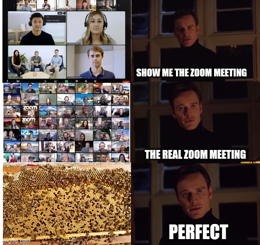 Who are these people? | SHOW ME THE ZOOM MEETING; THE REAL ZOOM MEETING; PERFECT | image tagged in perfection,zoom,meeting | made w/ Imgflip meme maker