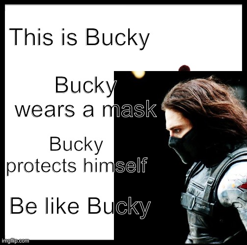 Be like Bucky | This is Bucky; Bucky wears a mask; Bucky protects himself; Be like Bucky | image tagged in memes,marvel,wear a mask | made w/ Imgflip meme maker