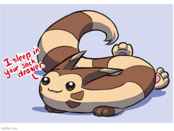 furret dos | made w/ Imgflip meme maker