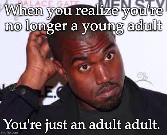 Well then |  When you realize you're no longer a young adult; You're just an adult adult. | image tagged in well then,adult | made w/ Imgflip meme maker