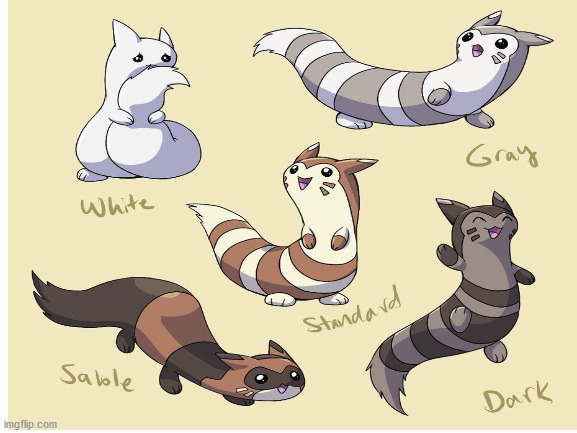 furret sinco | image tagged in furret | made w/ Imgflip meme maker