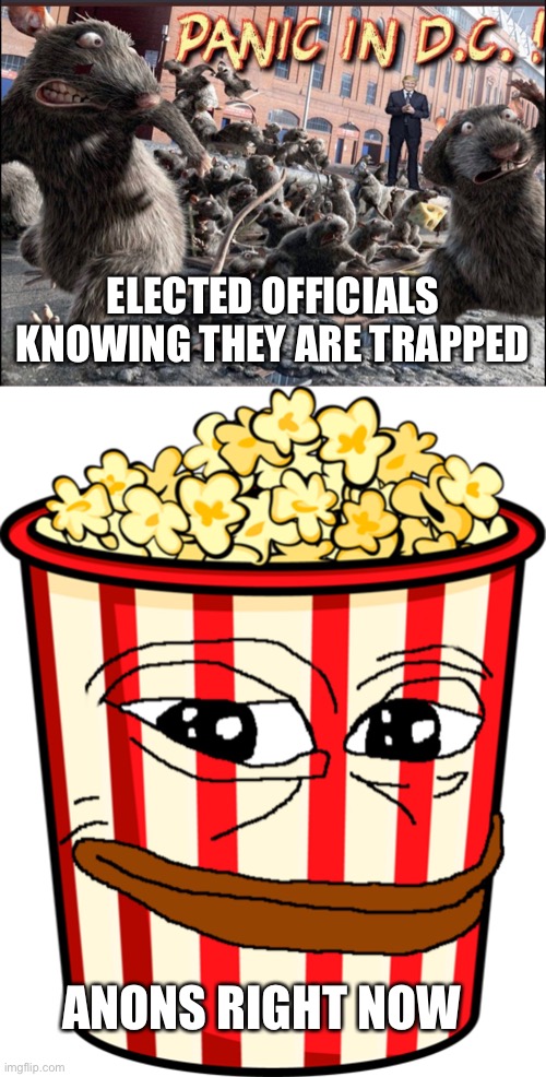 ELECTED OFFICIALS KNOWING THEY ARE TRAPPED; ANONS RIGHT NOW | made w/ Imgflip meme maker