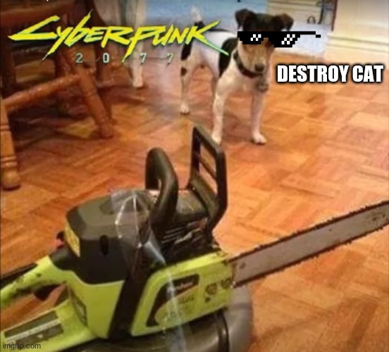 I am on a mission | DESTROY CAT | image tagged in chain saw,dogo | made w/ Imgflip meme maker