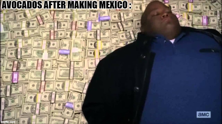 AVOCADOS AFTER MAKING MEXICO : | image tagged in memes | made w/ Imgflip meme maker