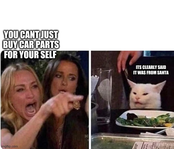 Lady screams at cat | YOU CANT JUST BUY CAR PARTS FOR YOUR SELF; ITS CLEARLY SAID IT WAS FROM SANTA | image tagged in lady screams at cat | made w/ Imgflip meme maker