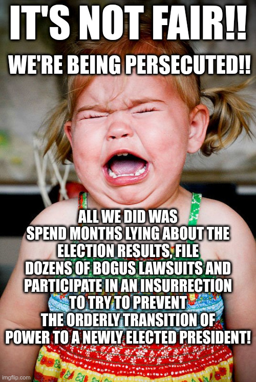IT'S NOT FAIR! WE'RE BEING PERSECUTED! | IT'S NOT FAIR!! WE'RE BEING PERSECUTED!! ALL WE DID WAS SPEND MONTHS LYING ABOUT THE ELECTION RESULTS, FILE DOZENS OF BOGUS LAWSUITS AND PARTICIPATE IN AN INSURRECTION TO TRY TO PREVENT THE ORDERLY TRANSITION OF POWER TO A NEWLY ELECTED PRESIDENT! | image tagged in girl toddler crying bawling,it's not fair,we're being persecuted,trump supporters,lies,insurrection | made w/ Imgflip meme maker