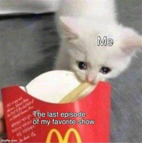 the last fry on earth | image tagged in crying cat,mcdonalds | made w/ Imgflip meme maker