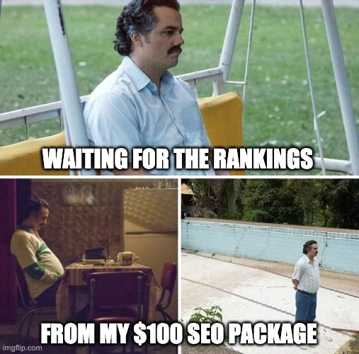 Sad Pablo Escobar Meme | WAITING FOR THE RANKINGS; FROM MY $100 SEO PACKAGE | image tagged in memes,sad pablo escobar | made w/ Imgflip meme maker