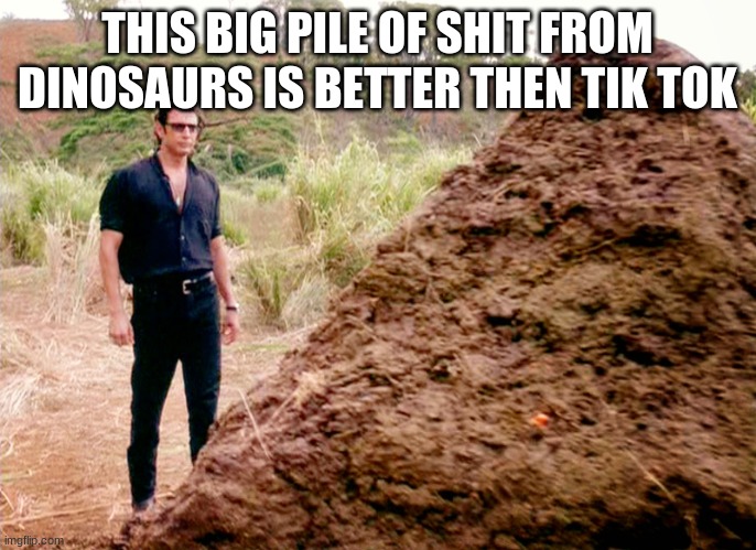 Memes, Poop, Jurassic Park | THIS BIG PILE OF SHIT FROM DINOSAURS IS BETTER THEN TIK TOK | image tagged in memes poop jurassic park | made w/ Imgflip meme maker