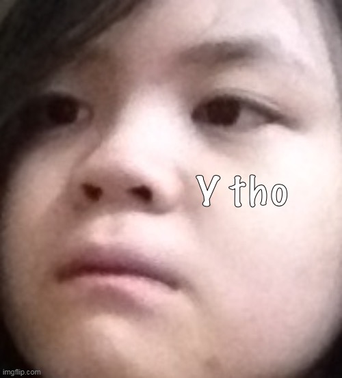 im using dis cuz i miss shiyuyu- | image tagged in y tho shiyuyu | made w/ Imgflip meme maker