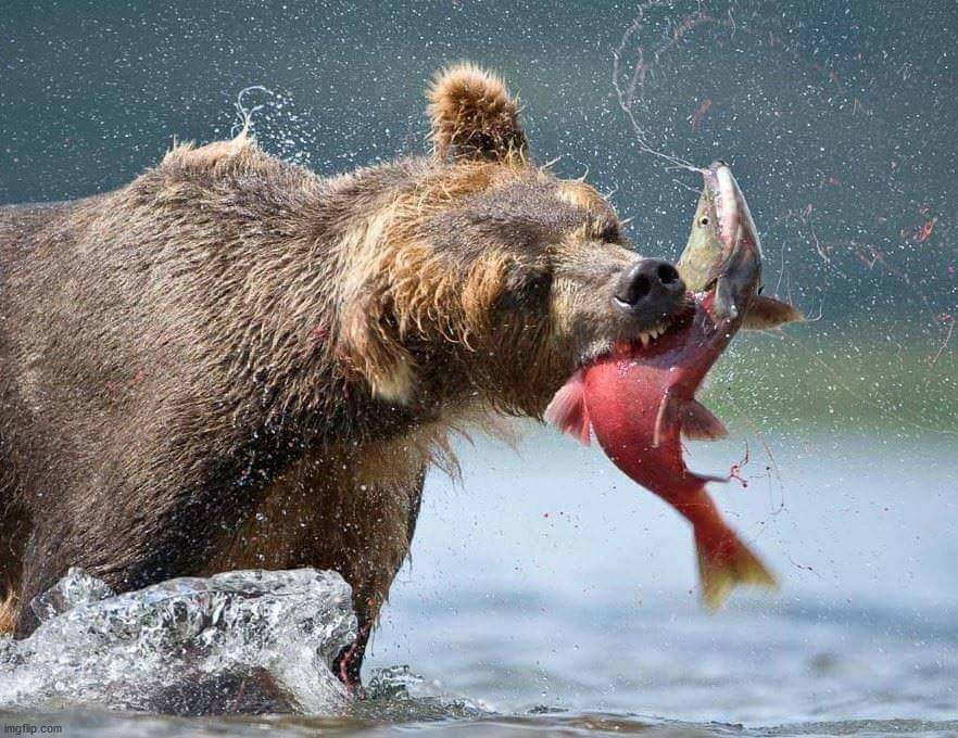 image tagged in awesome | made w/ Imgflip meme maker