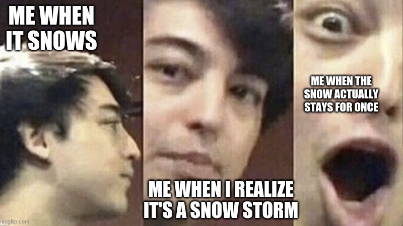FINALLY SINCE DECEMBER IT DIDN'T STAY | ME WHEN IT SNOWS; ME WHEN THE SNOW ACTUALLY STAYS FOR ONCE; ME WHEN I REALIZE IT'S A SNOW STORM | image tagged in surprised joji | made w/ Imgflip meme maker