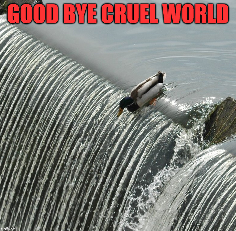 GOOD BYE CRUEL WORLD | image tagged in ducks | made w/ Imgflip meme maker