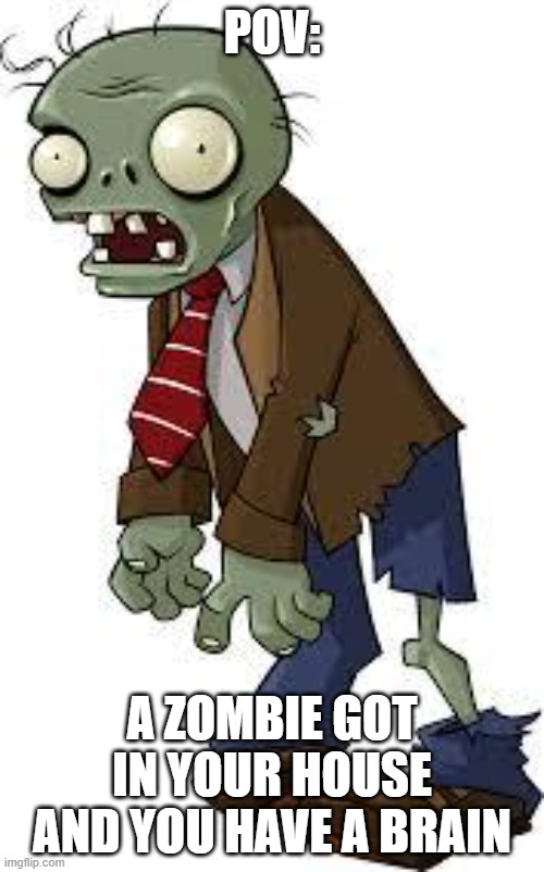 PvZ zombie | POV:; A ZOMBIE GOT IN YOUR HOUSE AND YOU HAVE A BRAIN | image tagged in pvz zombie | made w/ Imgflip meme maker