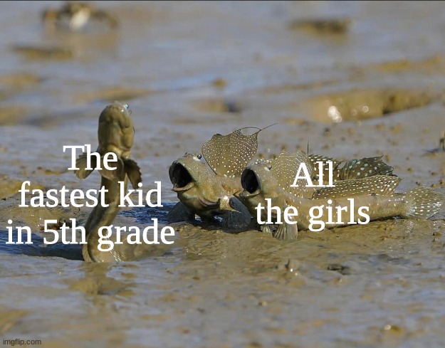 Pog Mudskippers | The fastest kid in 5th grade All the girls | image tagged in pog mudskippers | made w/ Imgflip meme maker