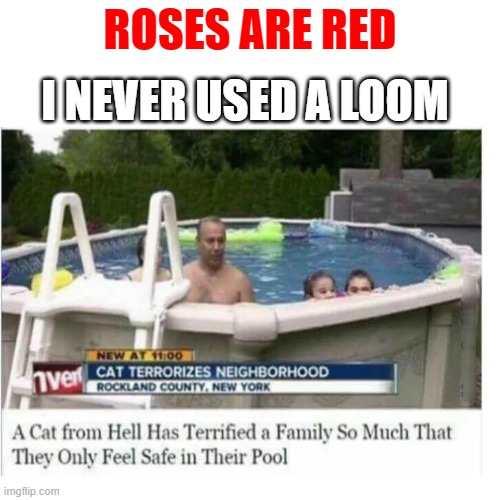 Scary Cat. | I NEVER USED A LOOM; ROSES ARE RED | image tagged in roses are red | made w/ Imgflip meme maker