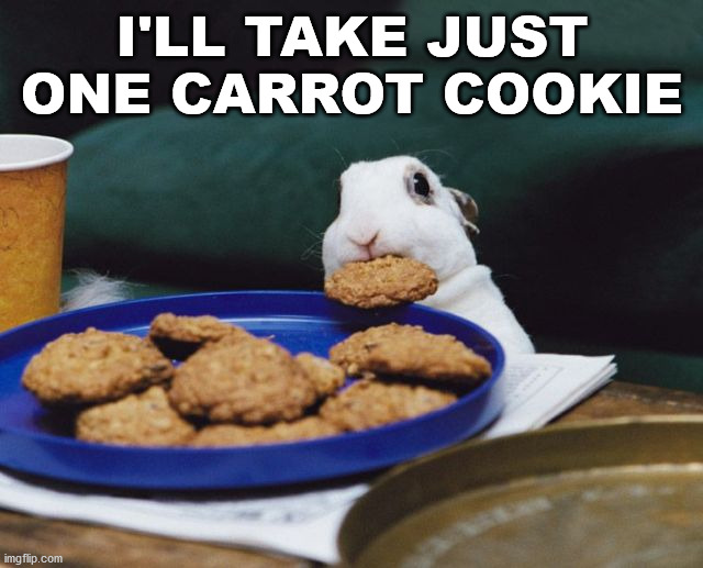 I'LL TAKE JUST ONE CARROT COOKIE | image tagged in bunnies | made w/ Imgflip meme maker