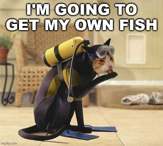 I'M GOING TO GET MY OWN FISH | image tagged in cats | made w/ Imgflip meme maker