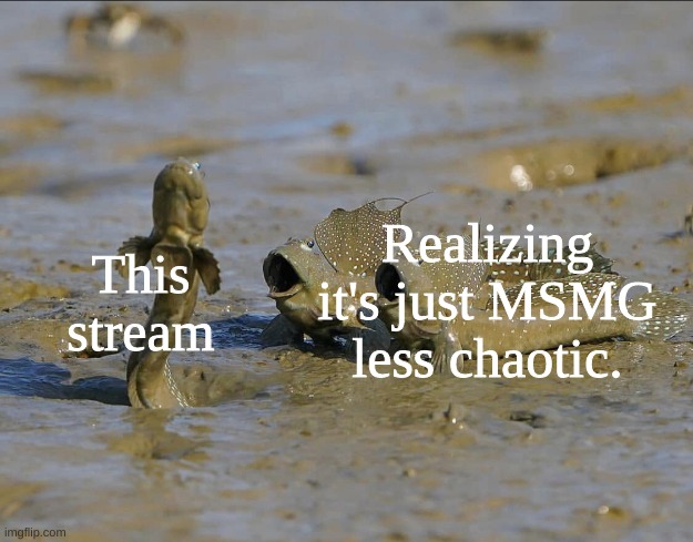 Pog Mudskippers | Realizing it's just MSMG less chaotic. This stream | image tagged in pog mudskippers | made w/ Imgflip meme maker