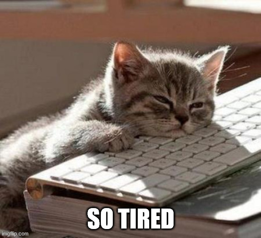 tired cat | SO TIRED | image tagged in tired cat | made w/ Imgflip meme maker