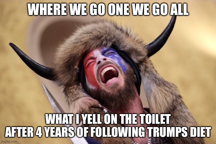 GoOneGoAll | WHERE WE GO ONE WE GO ALL; WHAT I YELL ON THE TOILET AFTER 4 YEARS OF FOLLOWING TRUMPS DIET | image tagged in viking,trump | made w/ Imgflip meme maker
