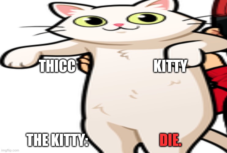 DAMN BOI HE THICC | THICC; KITTY; DIE. THE KITTY: | image tagged in thicc,kitty cat | made w/ Imgflip meme maker