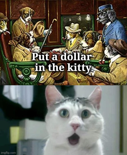 Not in nickels , please | Put a dollar 
in the kitty | image tagged in dogs playing poker,memes,omg cat,hope and change,money,poker face | made w/ Imgflip meme maker