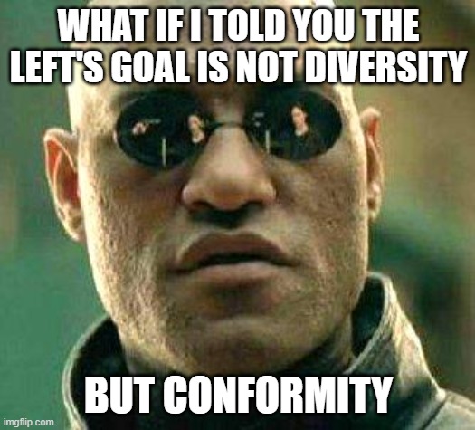 What if i told you | WHAT IF I TOLD YOU THE LEFT'S GOAL IS NOT DIVERSITY BUT CONFORMITY | image tagged in what if i told you | made w/ Imgflip meme maker
