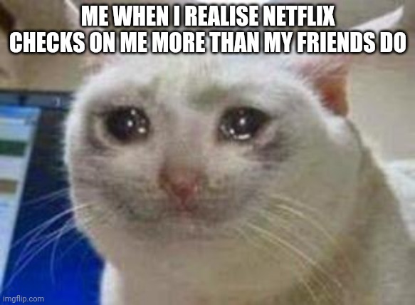 Sad cat | ME WHEN I REALISE NETFLIX CHECKS ON ME MORE THAN MY FRIENDS DO | image tagged in sad cat | made w/ Imgflip meme maker