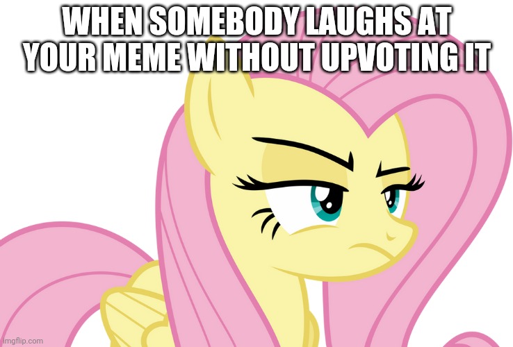 Remember to upvote when laugh | WHEN SOMEBODY LAUGHS AT YOUR MEME WITHOUT UPVOTING IT | image tagged in pissed-off fluttershy mlp | made w/ Imgflip meme maker