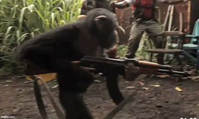 The apes are evolving they can now use guns | image tagged in ape,ak47 | made w/ Imgflip meme maker