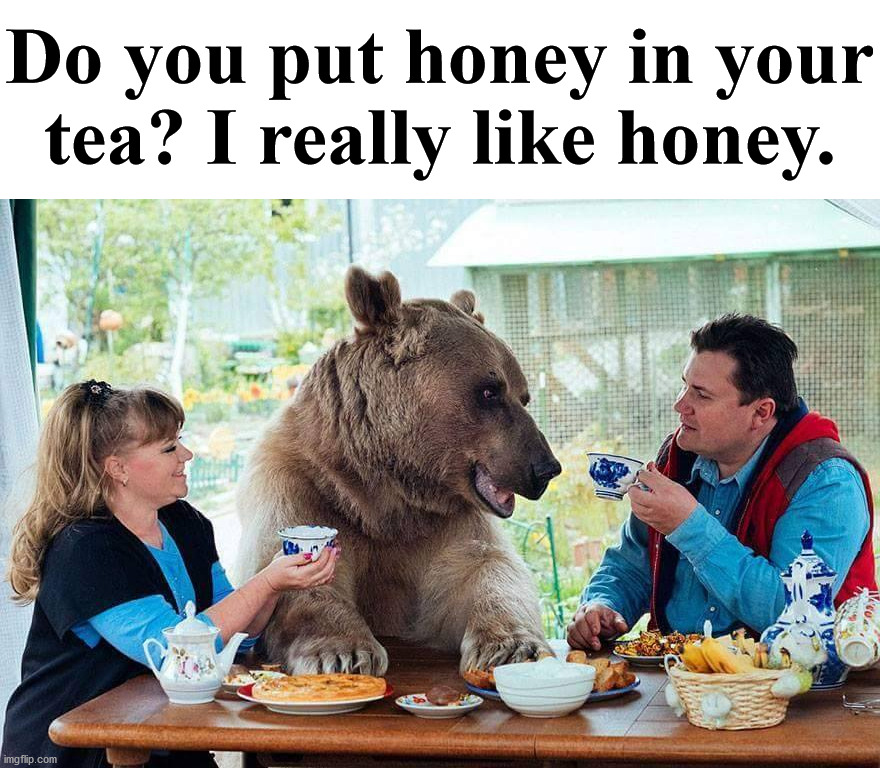 Invite a bear for tea, maybe we can learn about each other. |  Do you put honey in your tea? I really like honey. | image tagged in bear,honey | made w/ Imgflip meme maker