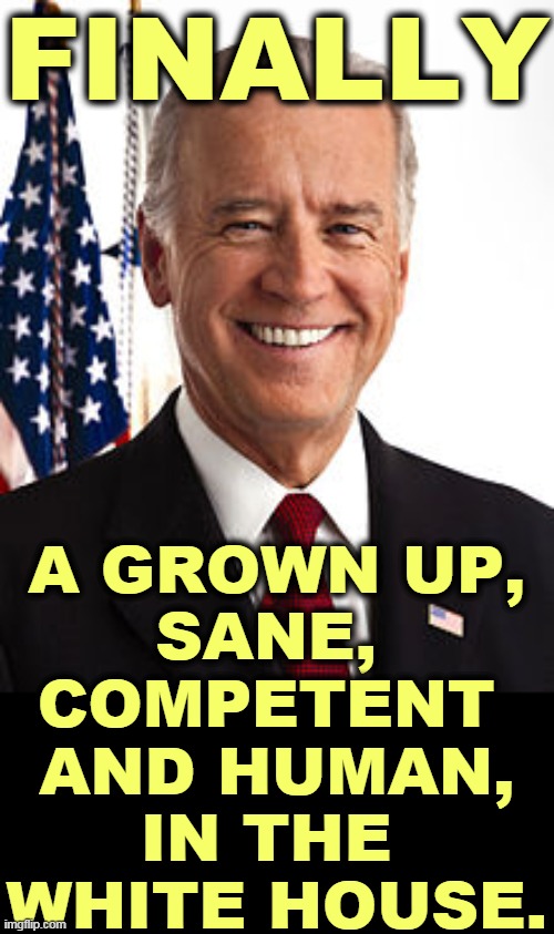 It'll take some getting used to. | FINALLY; A GROWN UP,
SANE, 
COMPETENT 
AND HUMAN,
IN THE 
WHITE HOUSE. | image tagged in memes,joe biden | made w/ Imgflip meme maker