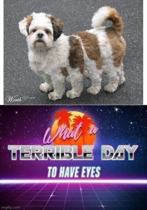 Aah | image tagged in what a terrible day to have eyes | made w/ Imgflip meme maker