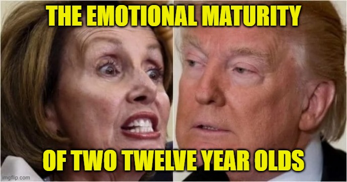 I'm 12 | THE EMOTIONAL MATURITY; OF TWO TWELVE YEAR OLDS | image tagged in politics | made w/ Imgflip meme maker