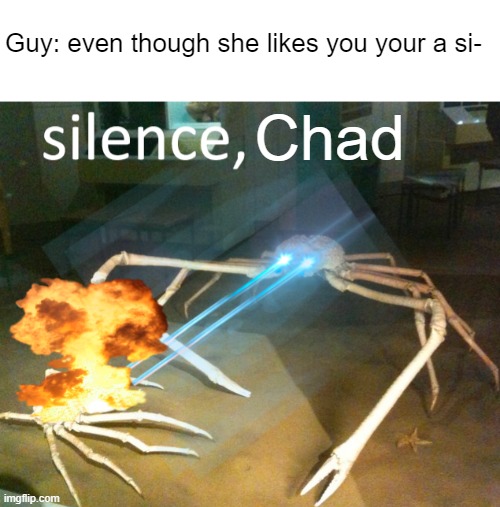 Chads are gonna be gone in 2022 | Guy: even though she likes you your a si-; Chad | image tagged in silence crab | made w/ Imgflip meme maker