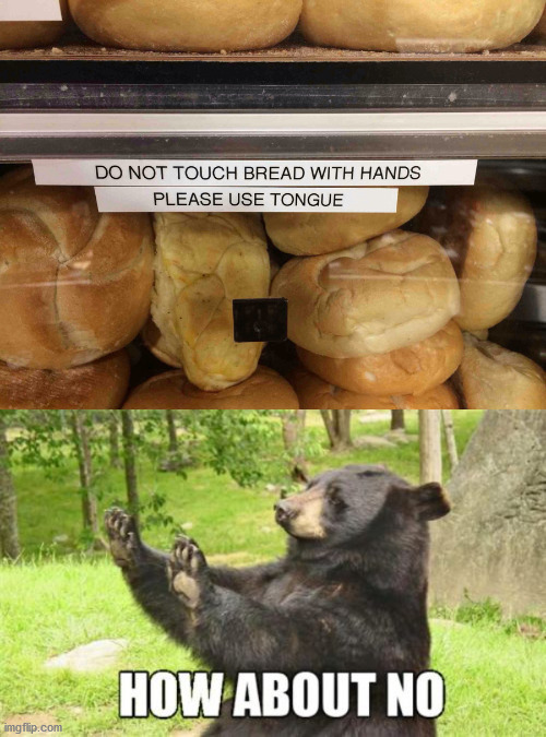 image tagged in memes,how about no bear,you had one job | made w/ Imgflip meme maker
