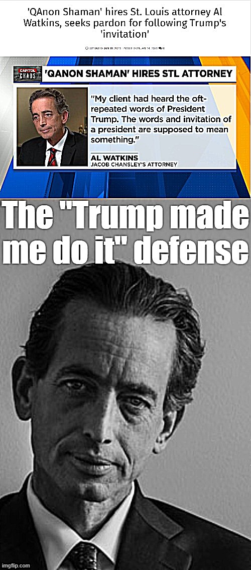 Brilliant defense, my good sir. Are you available to prosecute Trump? | image tagged in lawyers,lawyer,criminal,trump is a moron,trump is an asshole,trump impeachment | made w/ Imgflip meme maker