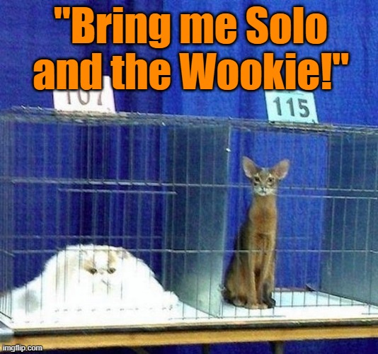 "Bring me Solo and the Wookie!" | image tagged in star wars,jabba the hutt,cats,han solo,wookie | made w/ Imgflip meme maker