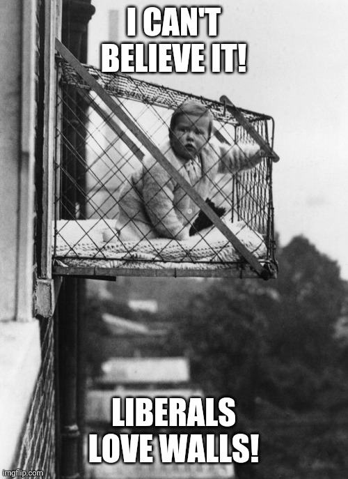 Baby cage | I CAN'T BELIEVE IT! LIBERALS LOVE WALLS! | image tagged in baby cage | made w/ Imgflip meme maker