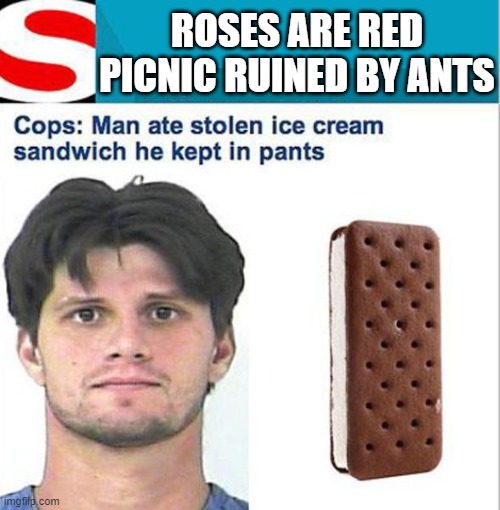 ROSES ARE RED
PICNIC RUINED BY ANTS | image tagged in roses are red | made w/ Imgflip meme maker
