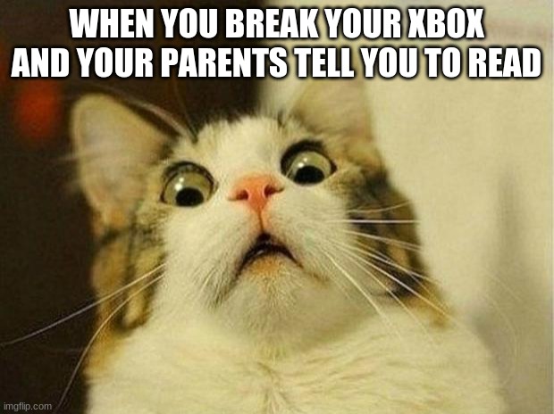 Scared Cat | WHEN YOU BREAK YOUR XBOX AND YOUR PARENTS TELL YOU TO READ | image tagged in memes,scared cat | made w/ Imgflip meme maker