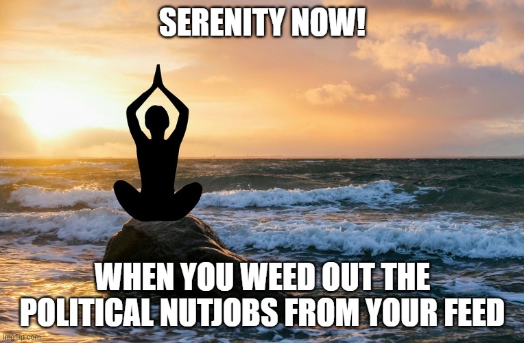 Politcal Nutjobs | SERENITY NOW! WHEN YOU WEED OUT THE POLITICAL NUTJOBS FROM YOUR FEED | image tagged in politics,facebook | made w/ Imgflip meme maker